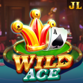 Wild Ace related slot